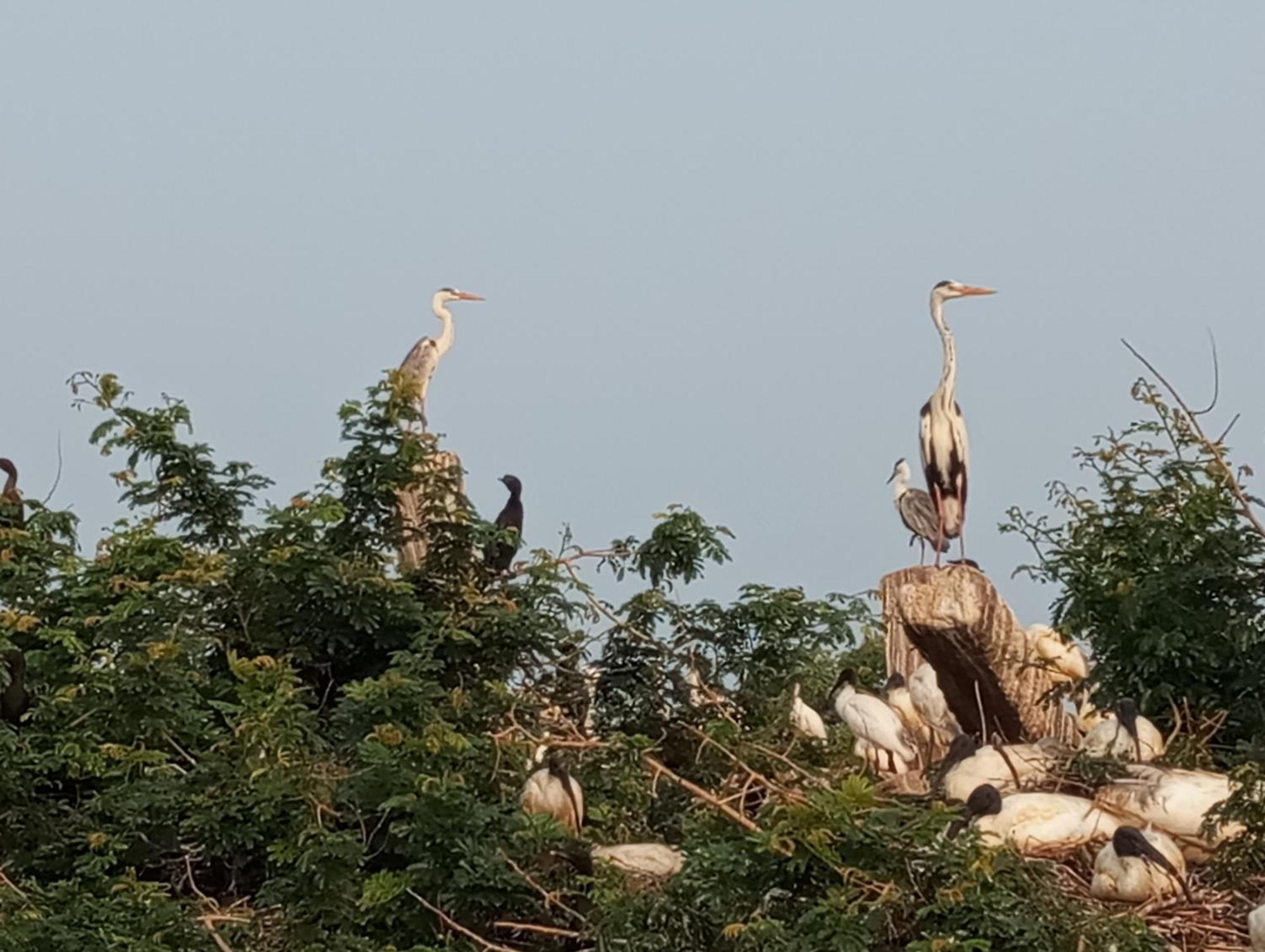 Windy Villa Polonnaruwa Dış mekan fotoğraf