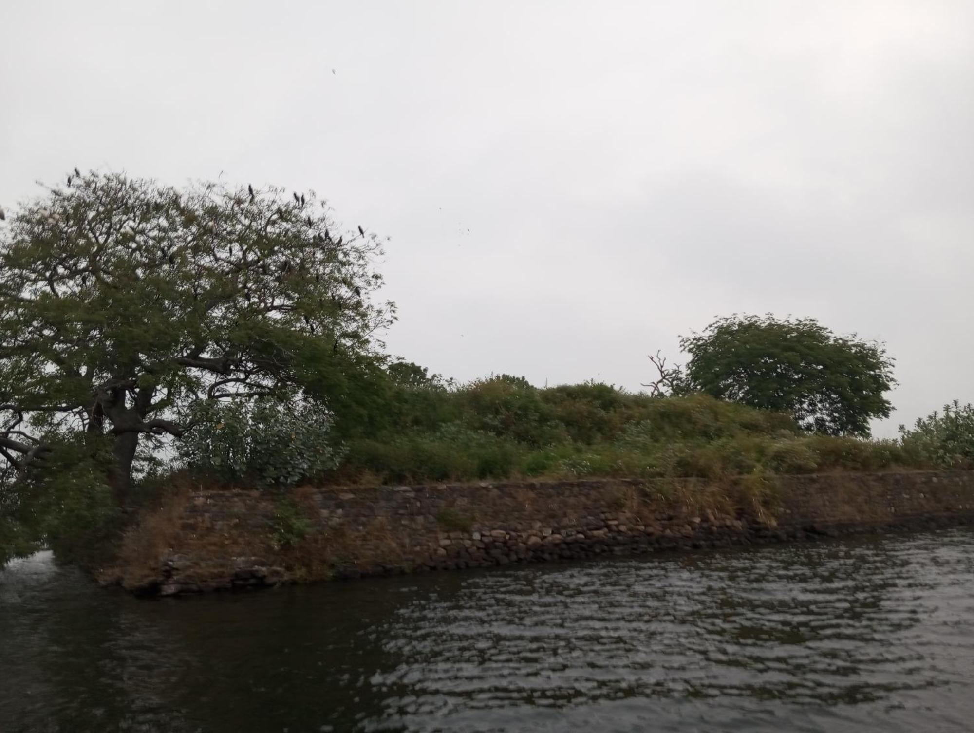 Windy Villa Polonnaruwa Dış mekan fotoğraf