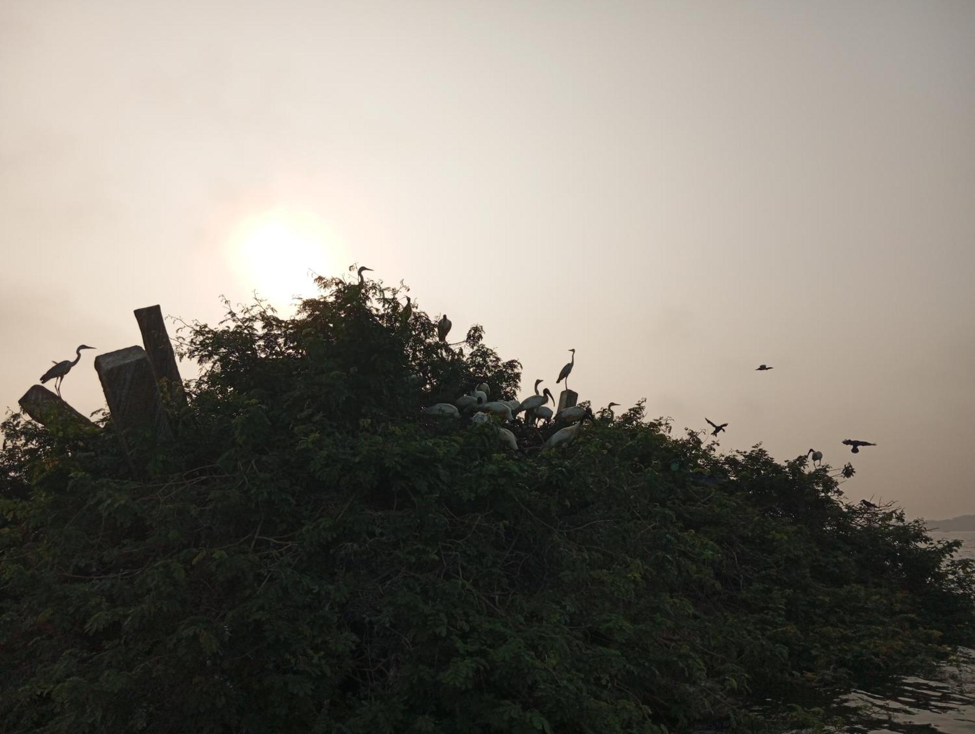 Windy Villa Polonnaruwa Dış mekan fotoğraf