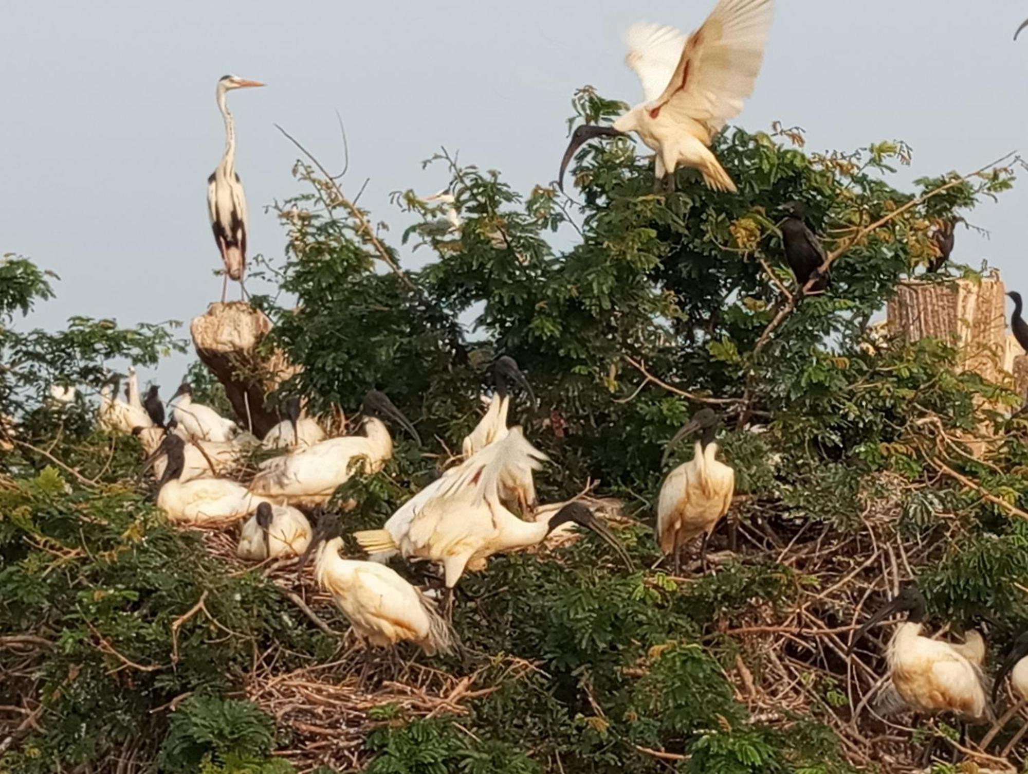 Windy Villa Polonnaruwa Dış mekan fotoğraf
