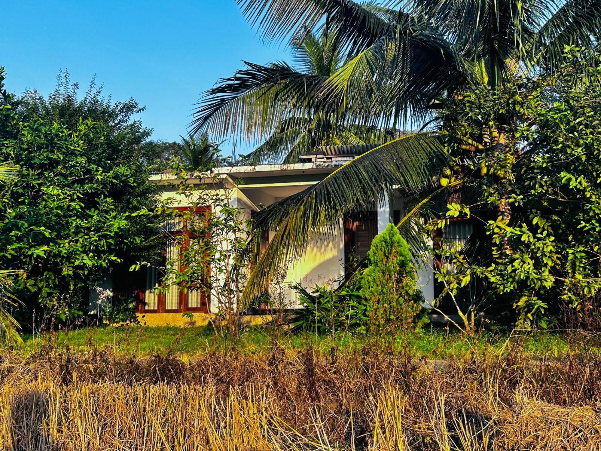 Windy Villa Polonnaruwa Dış mekan fotoğraf