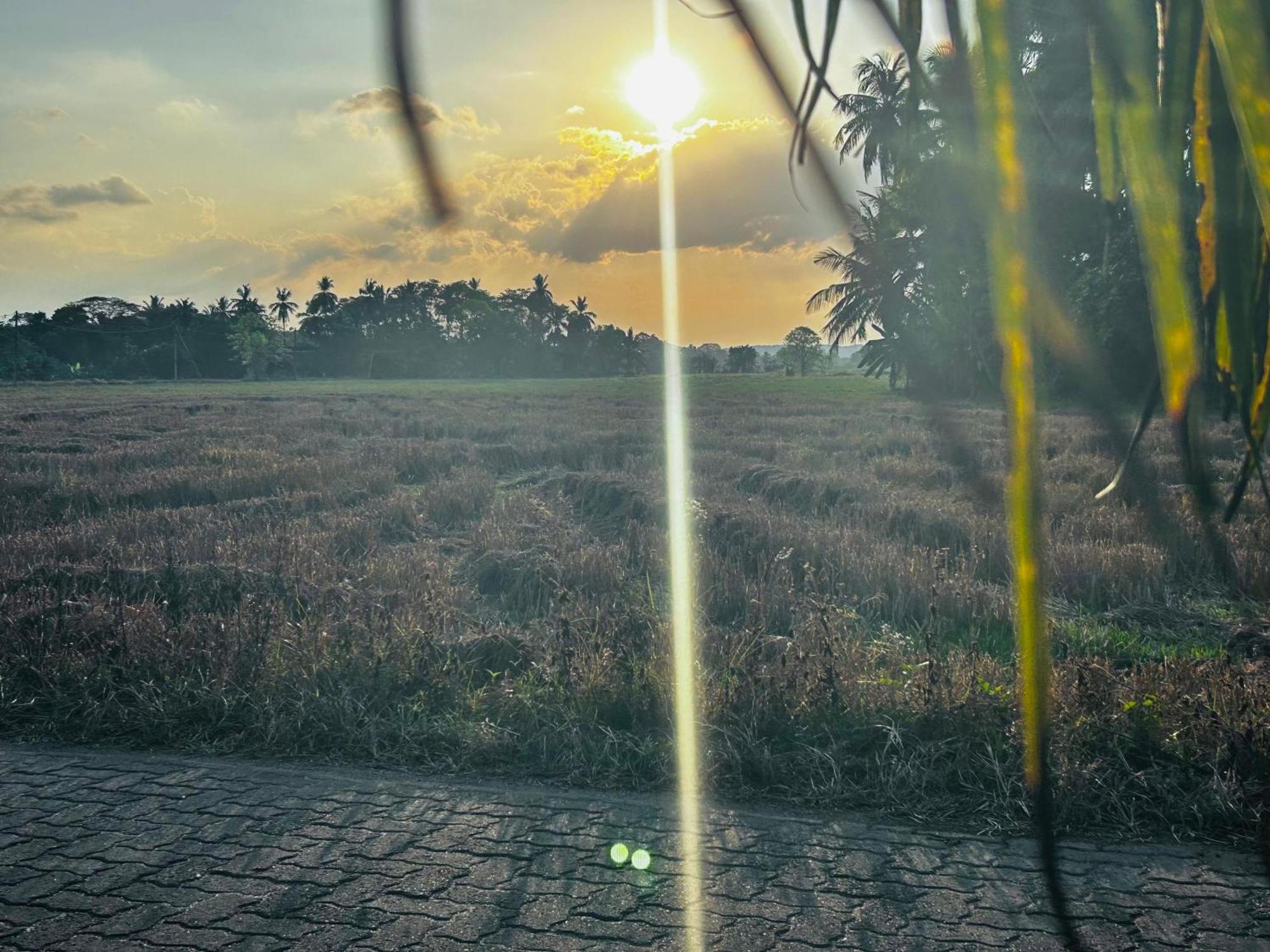 Windy Villa Polonnaruwa Dış mekan fotoğraf