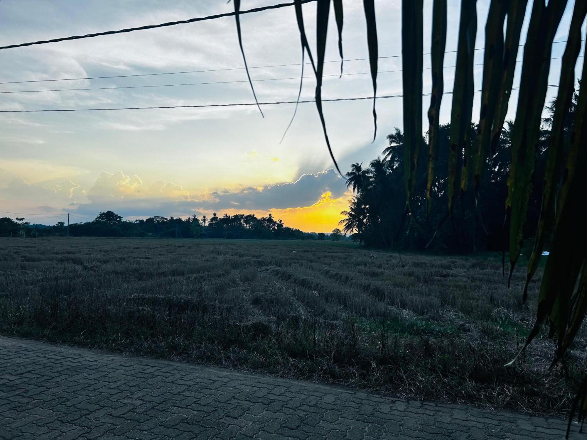 Windy Villa Polonnaruwa Dış mekan fotoğraf