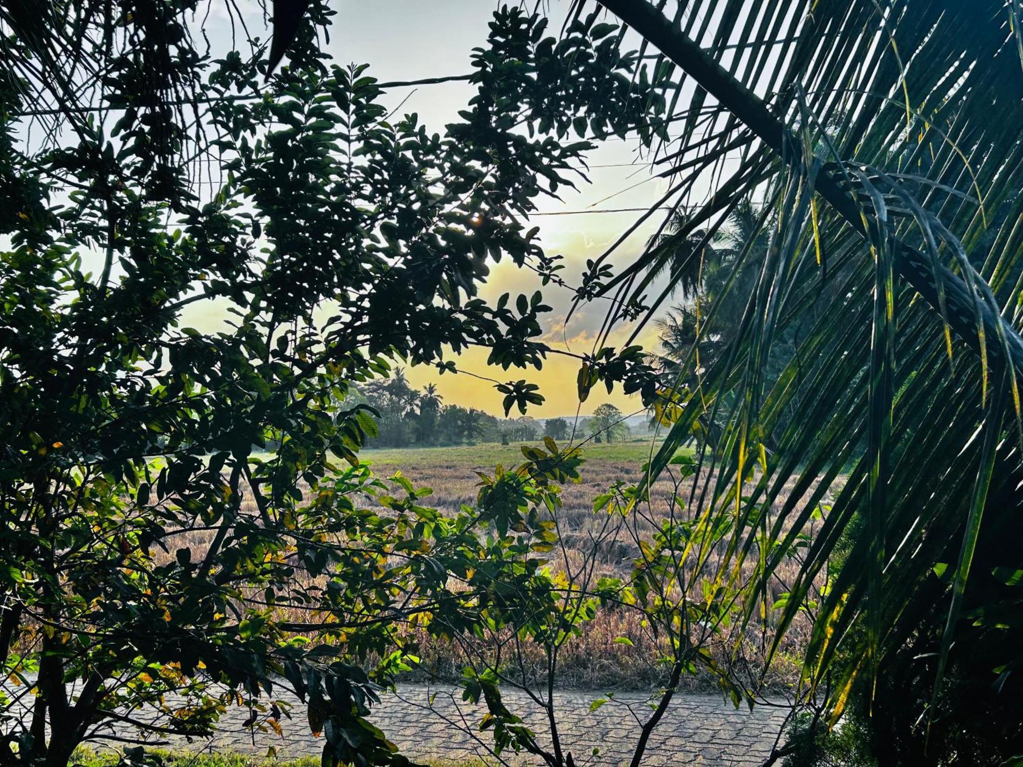 Windy Villa Polonnaruwa Dış mekan fotoğraf