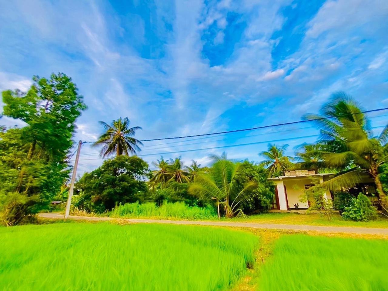 Windy Villa Polonnaruwa Dış mekan fotoğraf