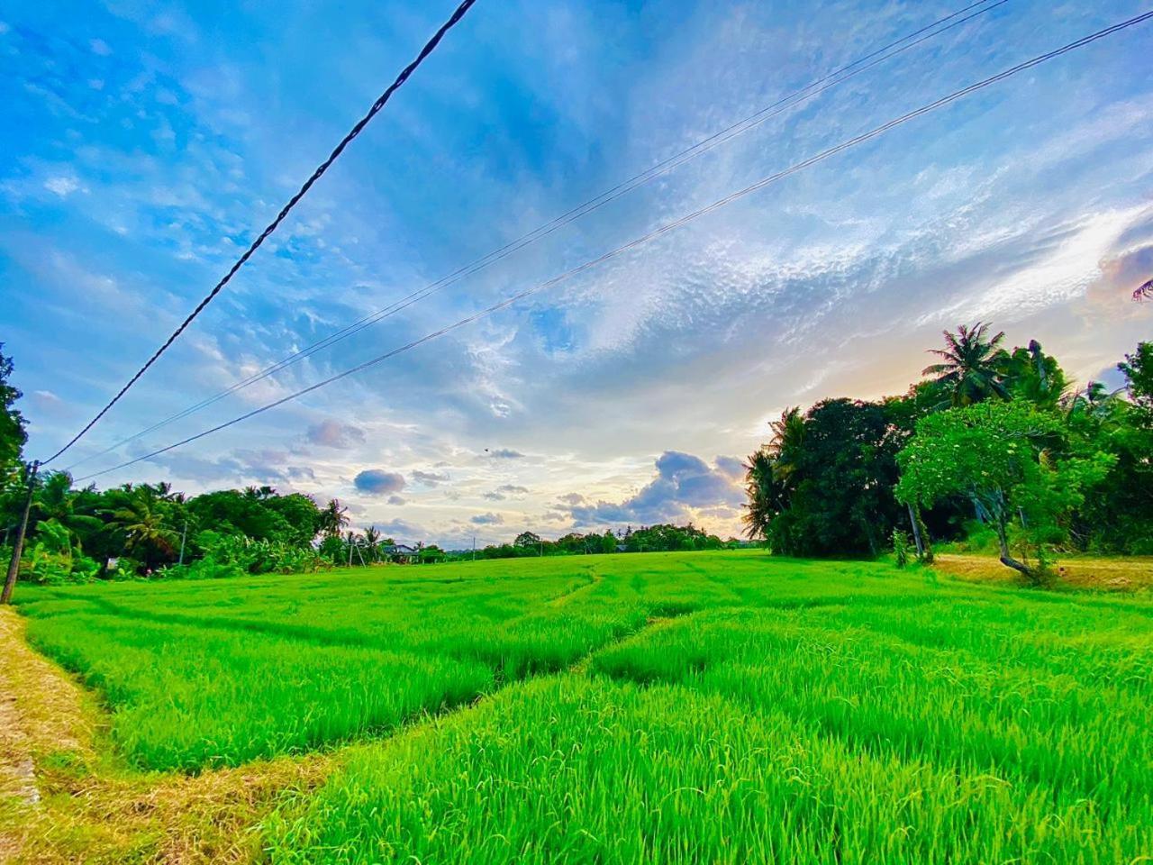 Windy Villa Polonnaruwa Dış mekan fotoğraf